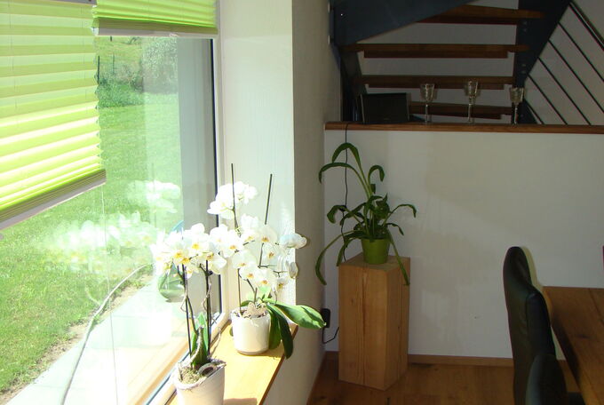 Geschwungenes Treppenhaus in EFH im Hintergrund, im Vordergrund ist noch der Esstisch auf der einen und ein grosses Fenster auf der anderen Seite zu sehen